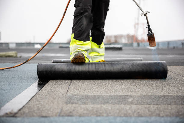 Best Roof Moss and Algae Removal  in De Graff, OH